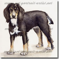 Full Dog Portrait of a working dog by Joanna Culley, Pet Portrait Artist
