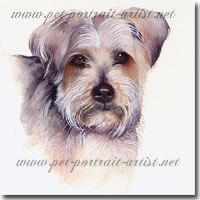 Watercolour Portrait of a Yorkshire Terrier, by Joanna Culley, Pet Portrait Artist